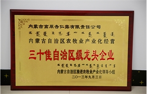 标题：三十佳自治区级龙头企业
浏览次数：11104
发布时间：2018-06-13