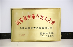 标题：国家林业重点龙头企业
浏览次数：10622
发布时间：2018-06-13